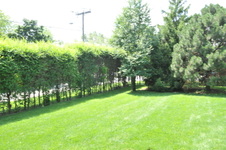 Enlarge photo 37