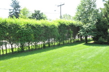 Enlarge photo 39
