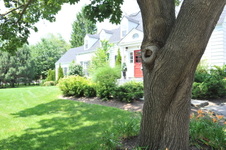 Enlarge photo 45
