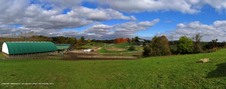 Farms 2