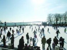 Harbourfront Skating Rink