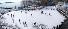 Enlarge photo 2