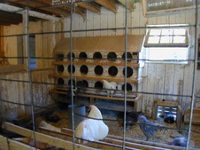 Enlarge photo 7