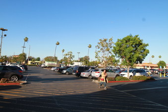 Enlarge photo 50