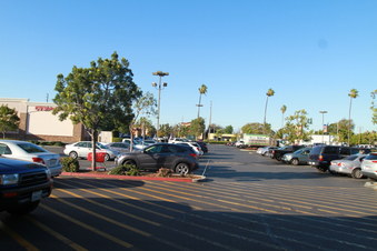 Enlarge photo 49