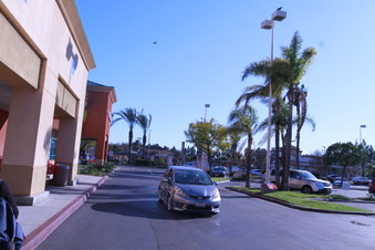 Enlarge photo 12