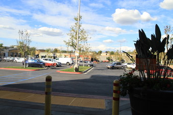 Enlarge photo 115