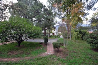 Enlarge photo 75
