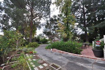 Enlarge photo 91