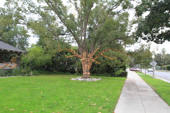 Enlarge photo 3