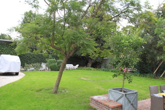 Enlarge photo 28
