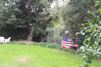 Enlarge photo 35