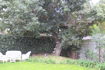 Enlarge photo 36