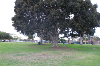 Enlarge photo 3