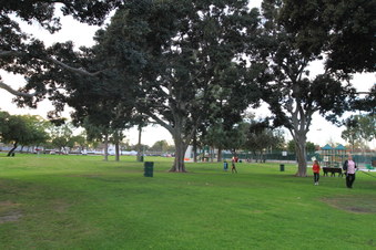 Enlarge photo 7