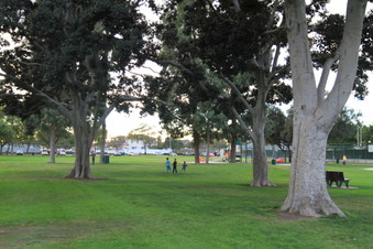 Enlarge photo 11