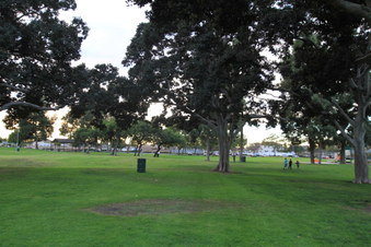 Enlarge photo 10