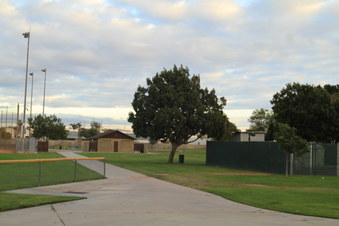 Enlarge photo 17