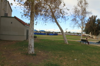 Enlarge photo 16