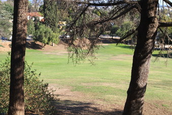 Enlarge photo 40