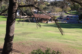 Enlarge photo 41