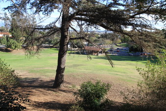 Enlarge photo 42