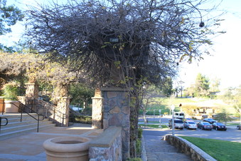 Enlarge photo 26