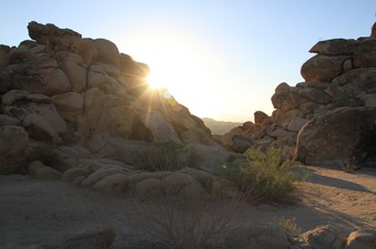 DESERT CONSERVATION AREA