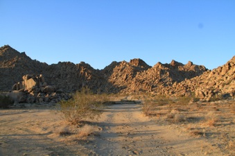 DESERT CONSERVATION 3