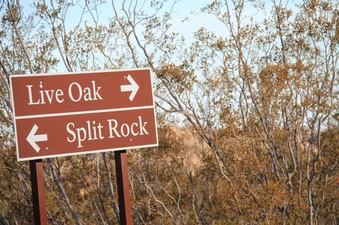Joshua Tree Split Rock