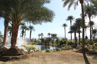 Shields Date Garden #2  the WALK