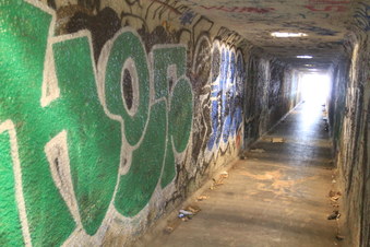 Enlarge photo 14