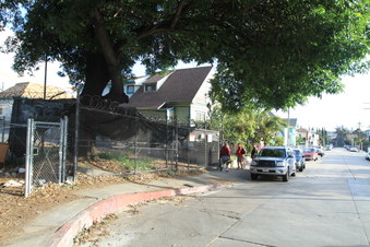 Enlarge photo 19
