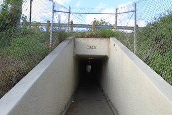 Enlarge photo 30