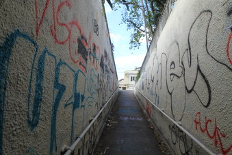Enlarge photo 36