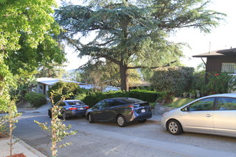 Enlarge photo 20