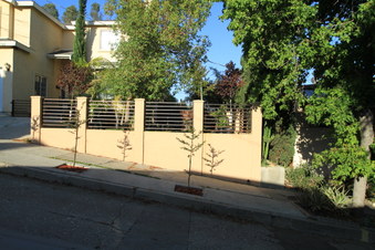 Enlarge photo 15