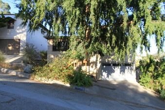 Enlarge photo 13