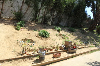 Enlarge photo 24
