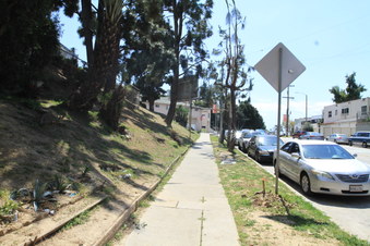 Enlarge photo 25