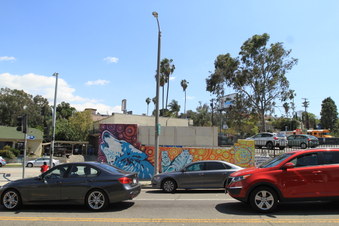 Enlarge photo 53