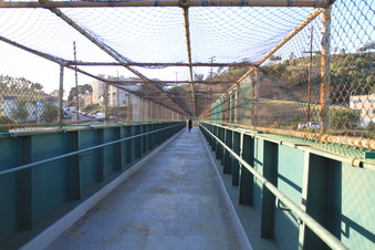 Enlarge photo 56