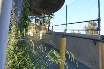 Enlarge photo 39