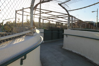 Enlarge photo 45