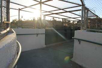 Enlarge photo 46