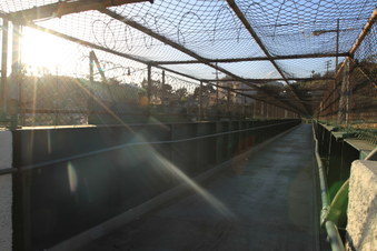 Enlarge photo 47
