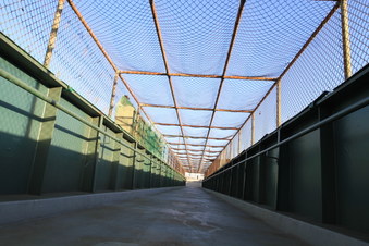 Enlarge photo 48