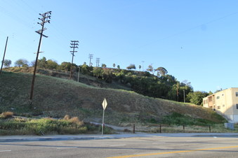 Enlarge photo 52