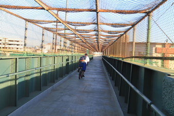 Enlarge photo 53