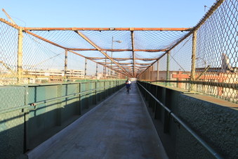 Enlarge photo 54